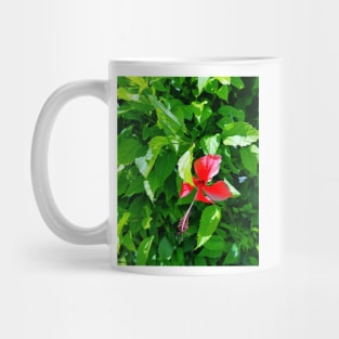 Red flower Mug